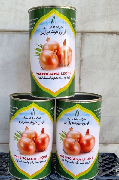 بذر پیاز روز بلند رقم والنسیانا لئون - زرد زرگان