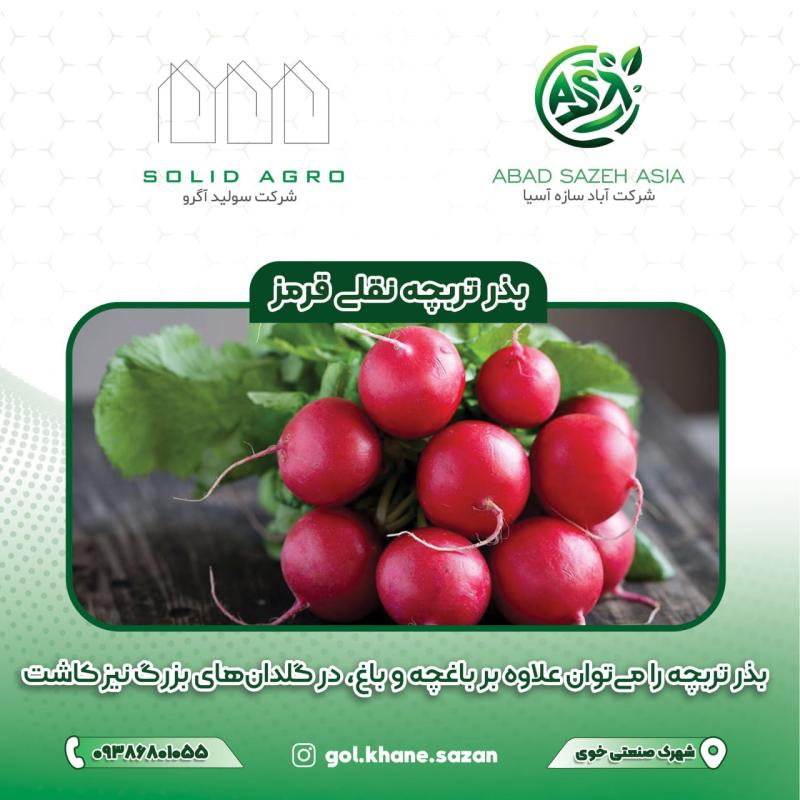 بذر تربچه نقلی پاکت 200 گرمی ( عاملیت فروش : آباد سازه آسیا )