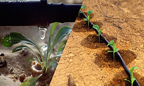 انواع نوار تیپ ساده و پلاکدار