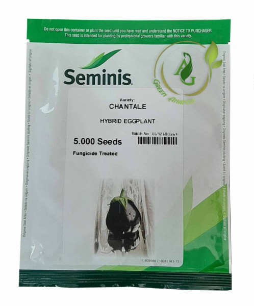 بذر بادمجان دلمه شانتال سمینیس