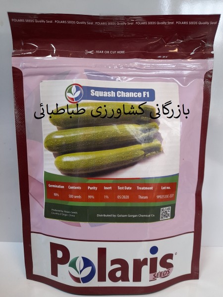 بذر کدو هیبرید چنس Chance F1