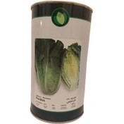 بذر کاهو سیاهو فلات