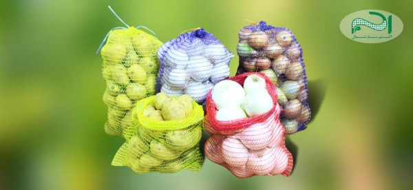 توری راشل سیب زمینی