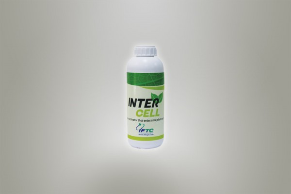 کود آمینواسید اینترسل