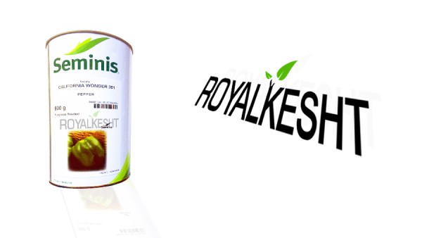 بذر فلفل دلمه کالیفرنیا - سمینیس