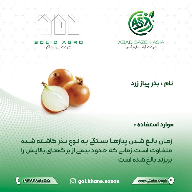بذر پیاز زرد پاکت 50 گرمی ( عاملیت پخش : آباد سازه آسیا )