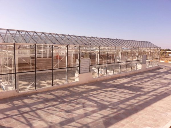 سازه گلخانه شیشه ای طرح venlo