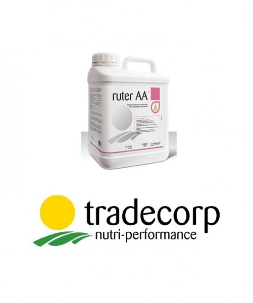 کود محرک روتر آ-آ