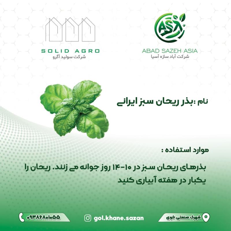 بذر ریحان سبز ایرانی پاکت 250 گرمی