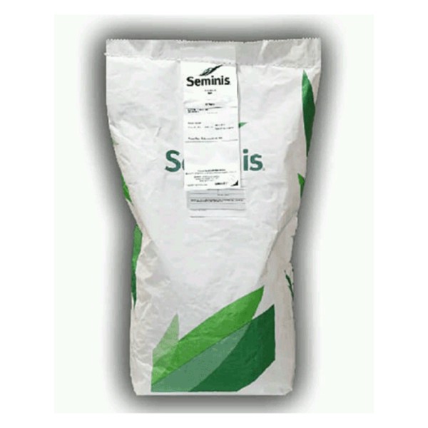 بذر نخود فرنگی اوتریلو سمینیس