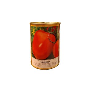 بذر گوجه فرنگی اوربانا پروسید هلند