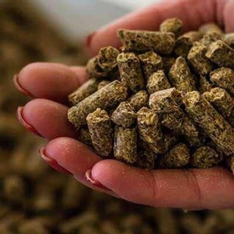 غذای ماهی کپور