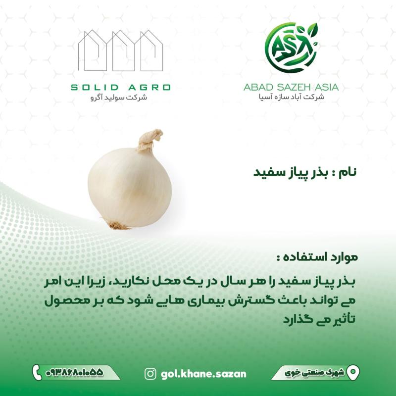 بذر پیاز سفید پاکت 50 گرمی ( عاملیت پخش : آباد سازه آسیا )