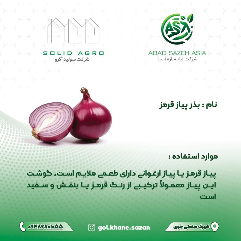 بذر پیاز قرمز پاکت 50 گرمی ( عاملیت فروش: آباد سازه آسیا )