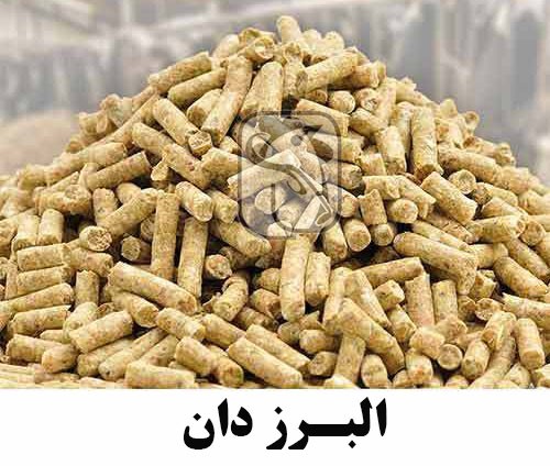 خوراک طیور تخم گذار
