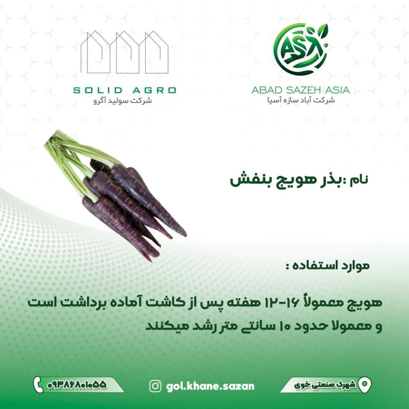 بذر هویج بنفش پاکت 60 گرمی