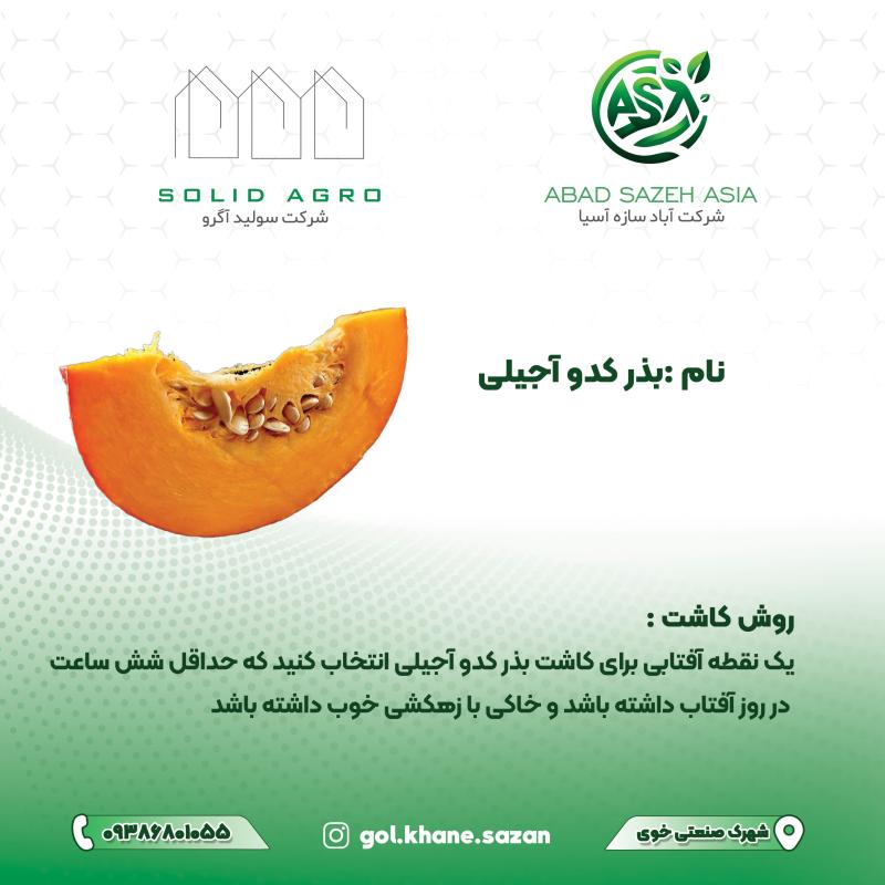 بذر کدو آجیلی پاکت 150 گرمی (عاملیت فروش : آباد سازه آسیا )