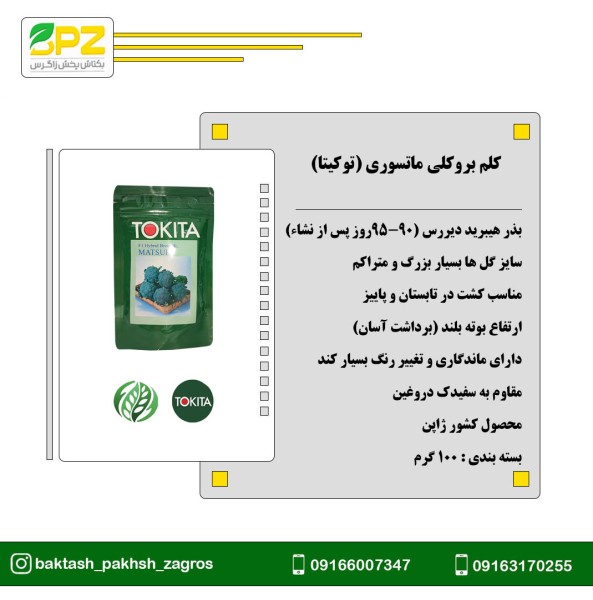 بذر کلم بروکلی ماتسوری توکیتا