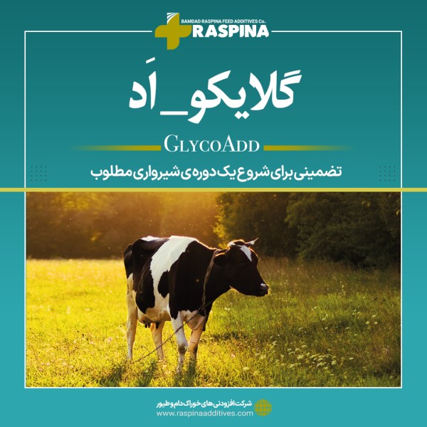 پیش ساز گلوکز ( گلایکواد )