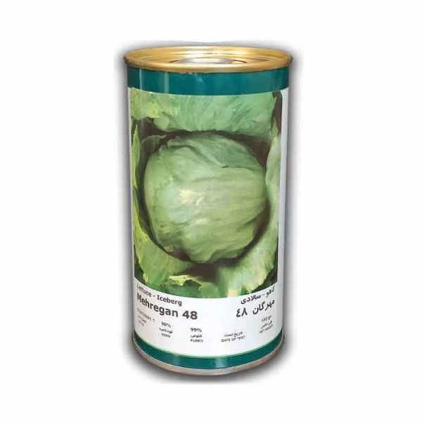 بذر کاهو مهرگان 48 فلات