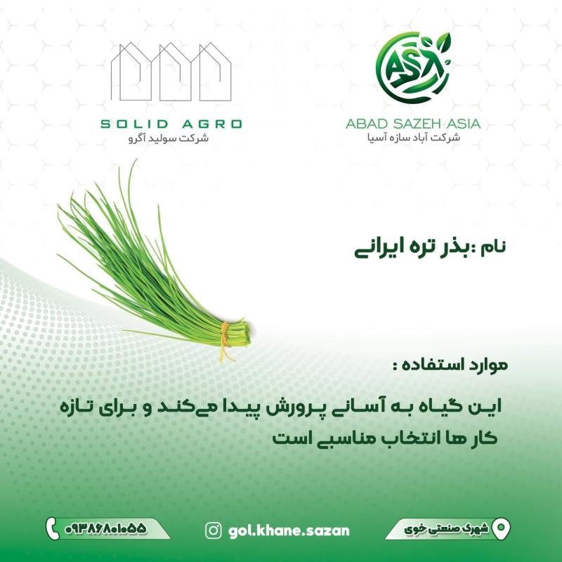 بذر تره ایرانی پاکت 150 گرمی