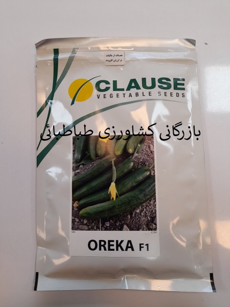 بذر خیار هیبرید فضای باز اورکا OREKA F1
