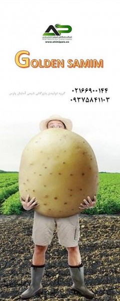 کود مایع مخصوص سیب زمینی