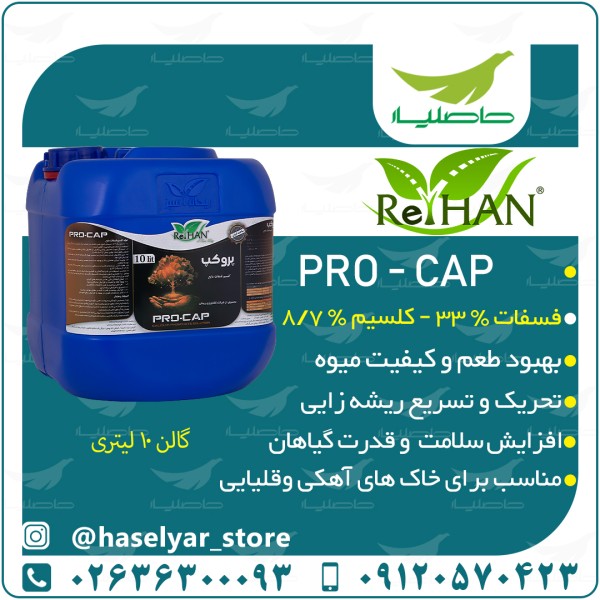 پروکپ (  فسفات کلسیم )