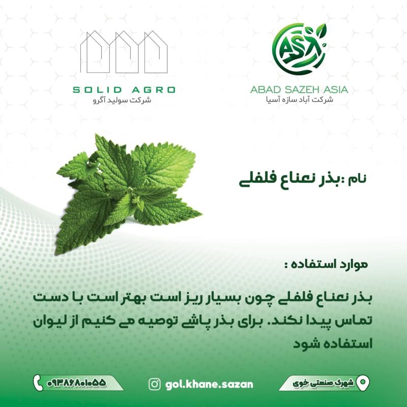 بذر نعنا فلفلی پاکت 3.5 گرمی