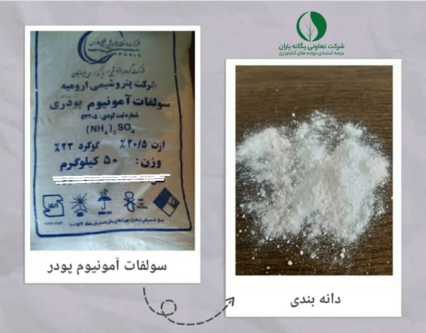 سولفات آمونیوم پودری