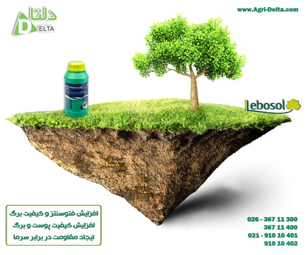 منگان گلد اس سی