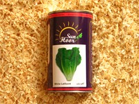 بذر کاهو سفید کرجی  هورسان