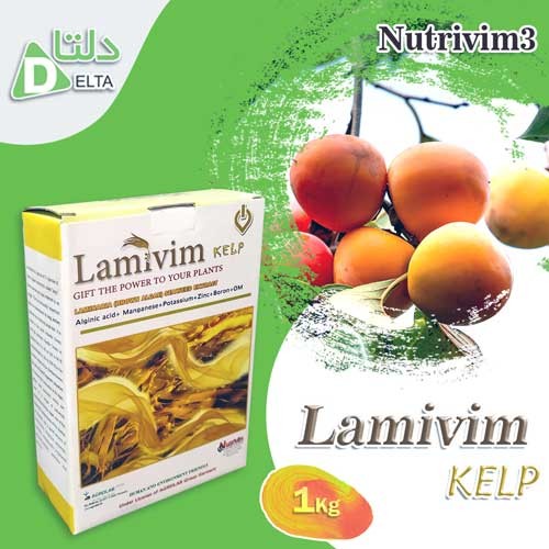 کود لامی ویم _ نوتری ویم