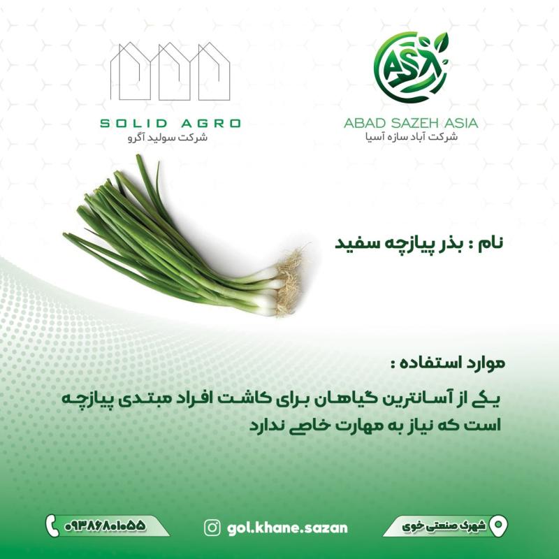 بذر پیازچه سفید پاکت 150 گرمی  ( عاملیت فروش : آباد سازه آسیا )