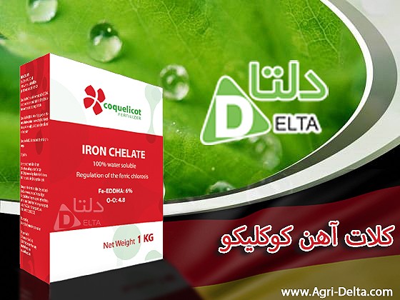 کلات آهن کوکلیکو