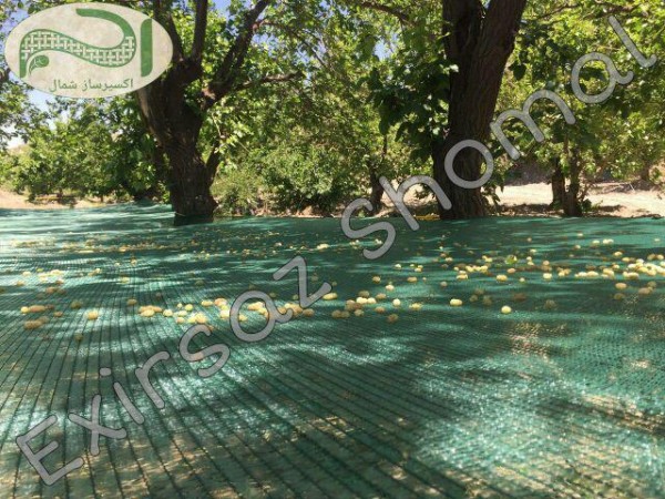 شبکه جمع آوری محصول