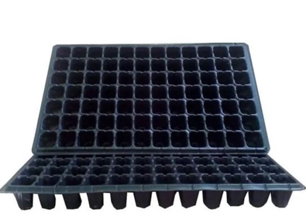 سینی نشا ترک 84 خانه