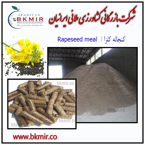 کنجاله داخلی  کلزا (نهاوند)