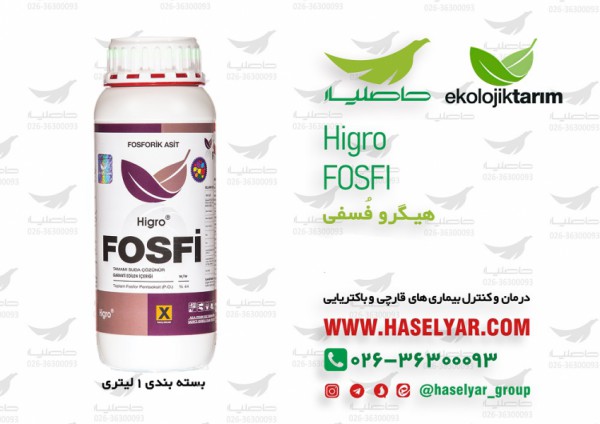 کود هیگرو فسفی