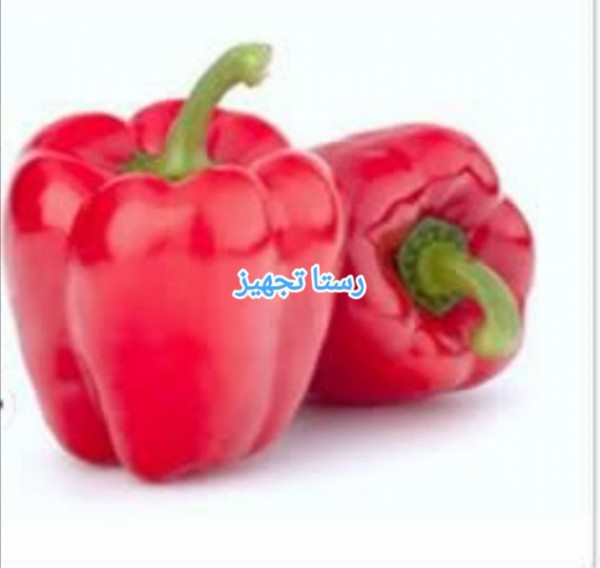 بذر فلفل دلمه کائوبا