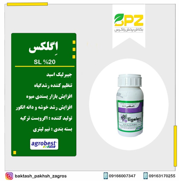 اگلکس اگروبست ترکیه