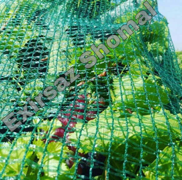 توری ضد پرنده