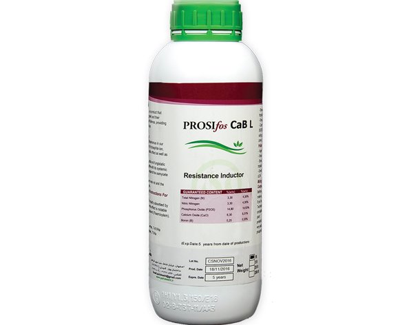 کود مایع پروسی فوس کلسیم بور ال