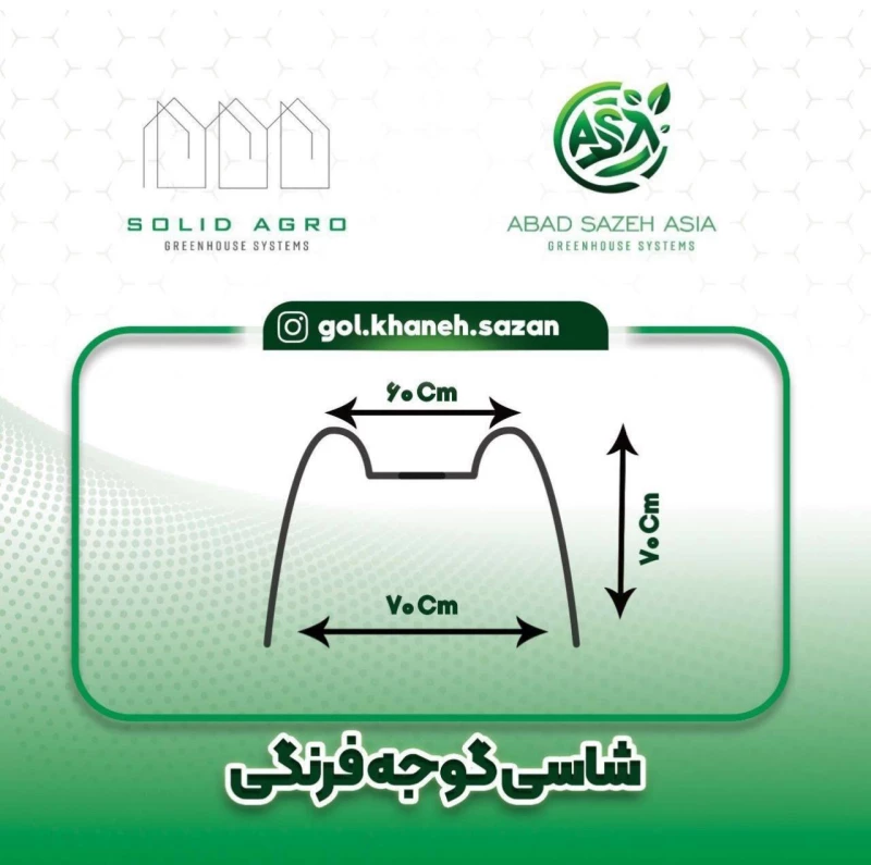 شاسی گوجه فرنگی