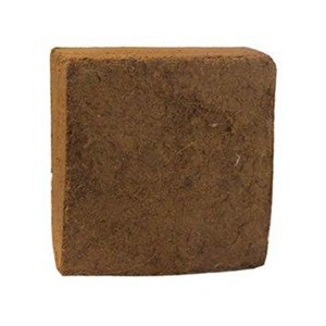 کوکو پیت هندی