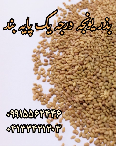 بذریونجه همدانی پایه بلند