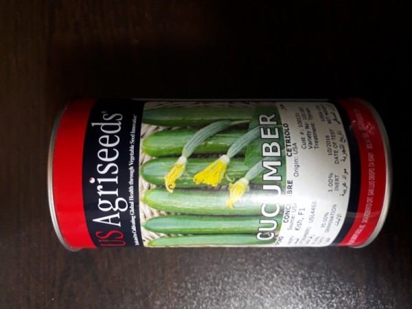 بذر خیار زمینی کیش