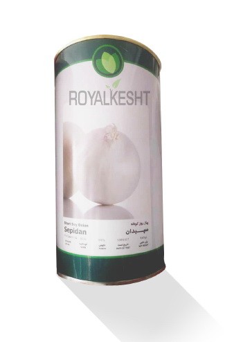 پیاز سپیدان
