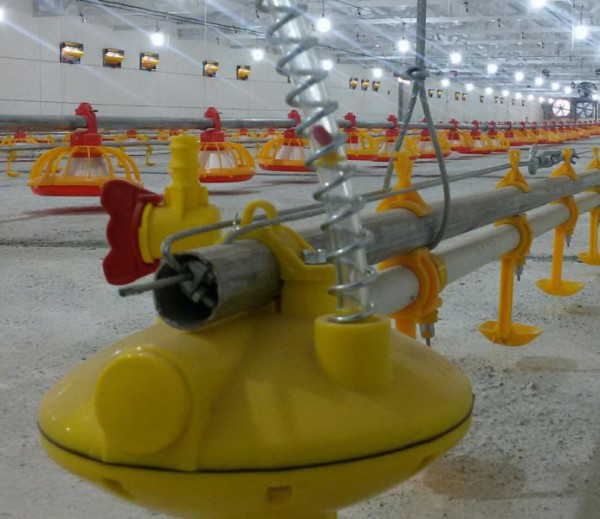 سیستم آبخوری نیپل با لوله گرد به طول 60 متر