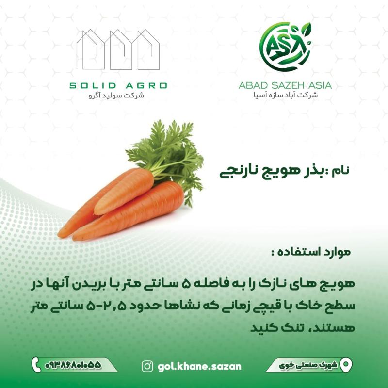 بذر هویج نارنجی  پاکت 60 گرمی